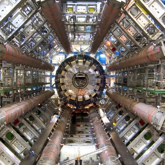 Meet your Posher, Kiki - Picture 1 of 1